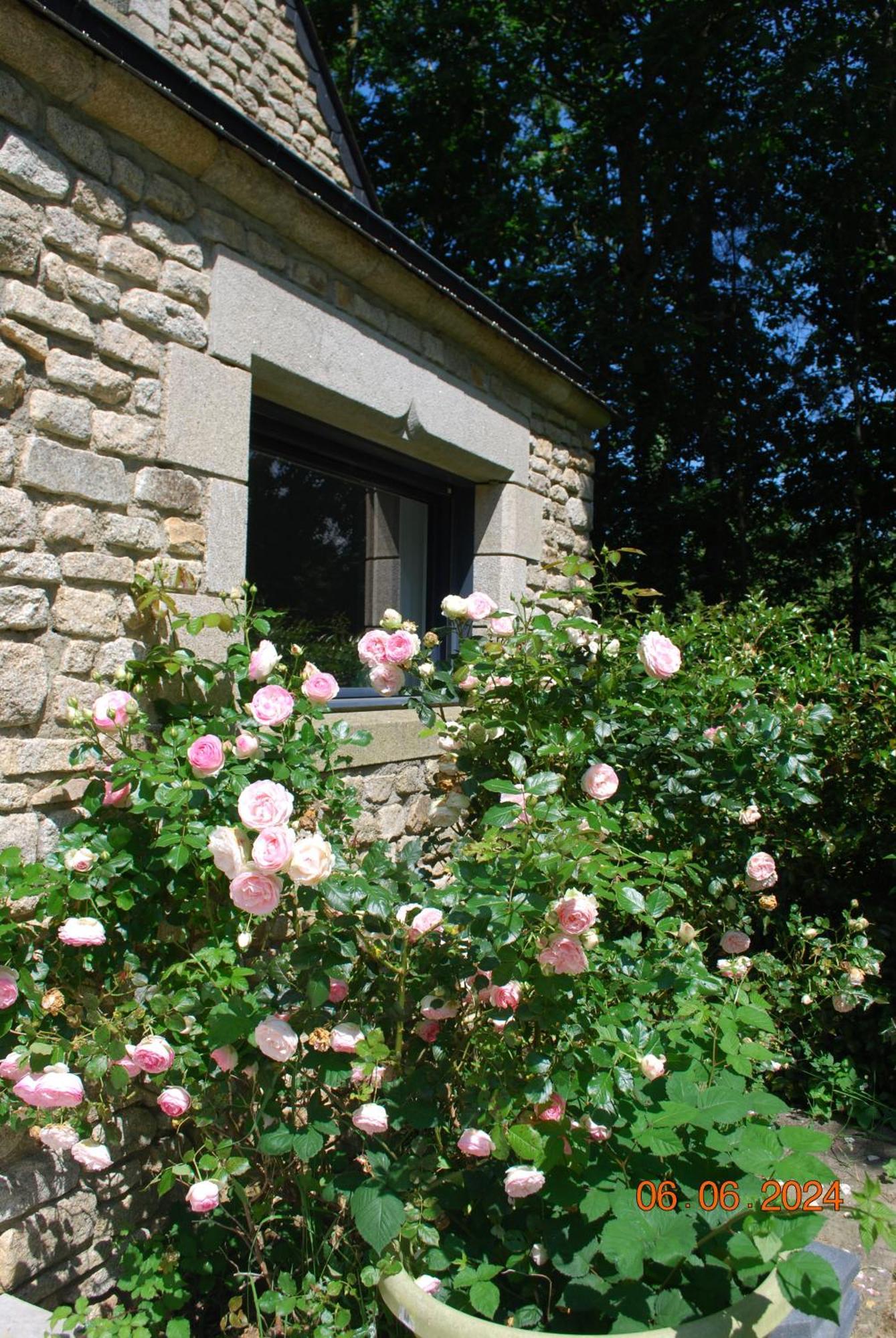 Ty Bodudal, Maison Cosy Et Independante * Rieux (Morbihan)